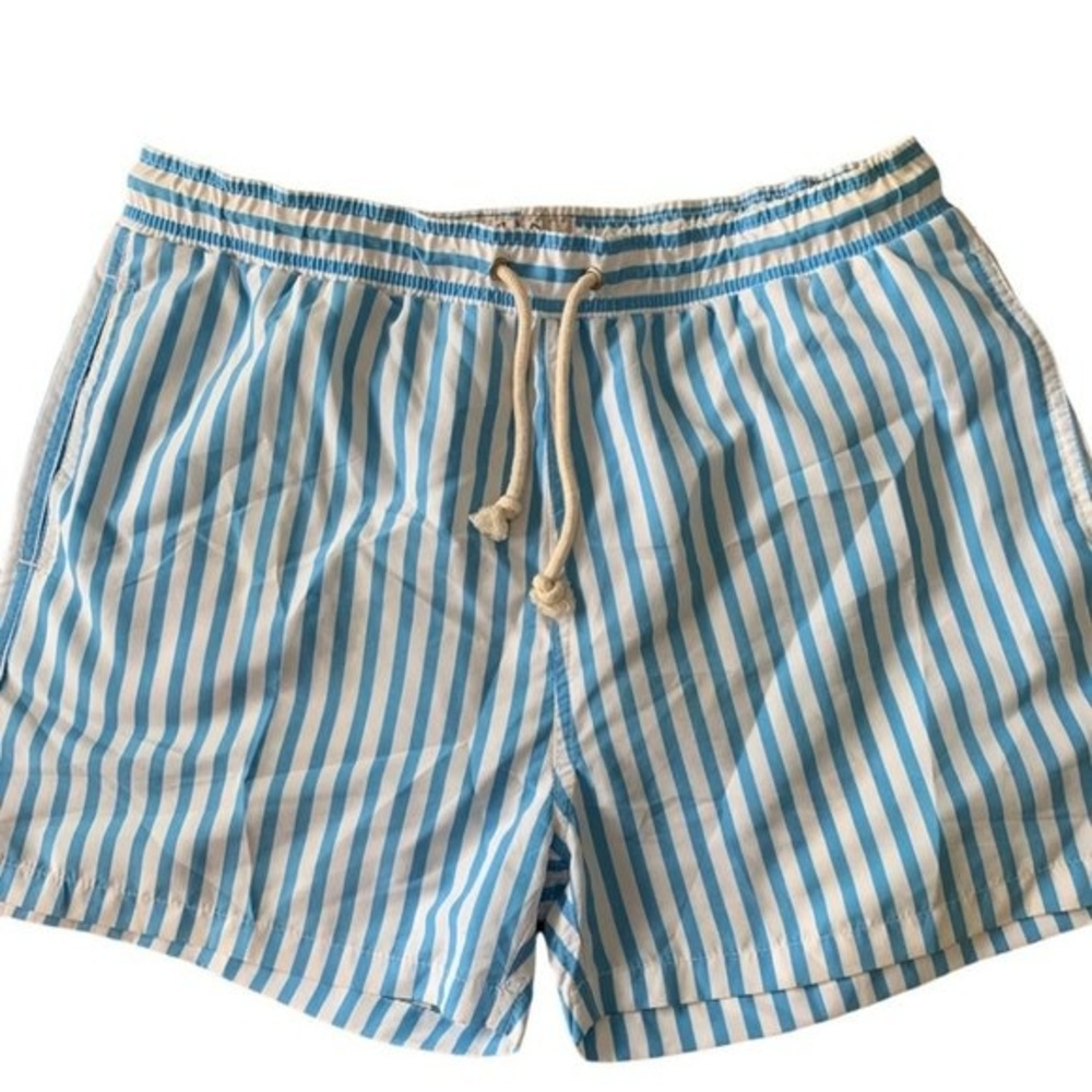 Havacoa Men's L Swim Shorts Blue & White Stripes | Mesh Lined